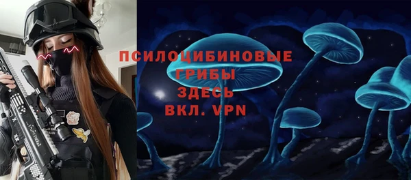 a pvp Абаза