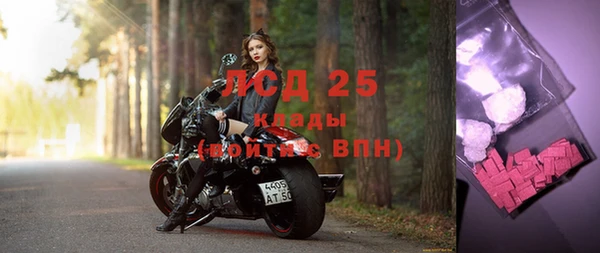 прущие грибы Алзамай
