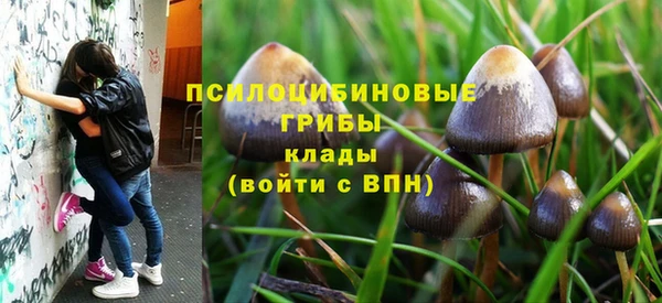 мяу мяу мука Алексин