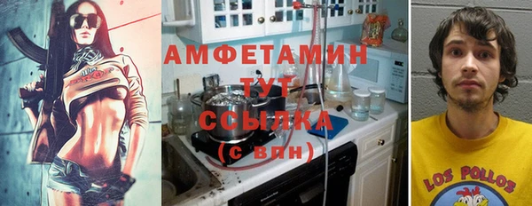 прущие грибы Алзамай