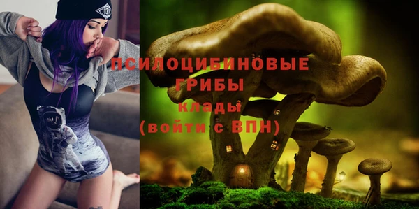 a pvp Абаза