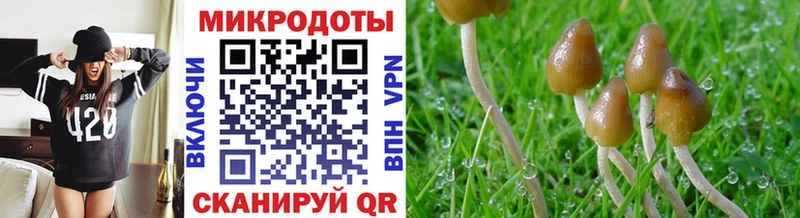 Галлюциногенные грибы MAGIC MUSHROOMS  Ужур 